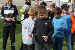 IMG_5587