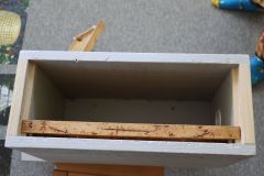 IMG_1077
