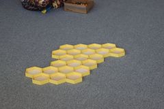IMG_1089
