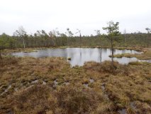 P5090210